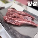 순암로 | 경기광주 양꼬치 맛집 미미사 양갈비 양꼬치 솔직 후기