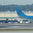 [속보] 조지아주 구금시설서 풀려난 한국인들, 애틀랜타 공항 도착 이미지