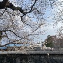 금산천1길 이미지