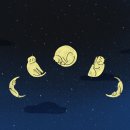 그포장마차 이미지