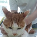 고방동물병원 이미지