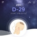 새봄 산부인과