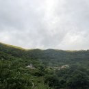 지리산별담 네이버블로그