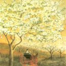 하얀기쁨 이미지