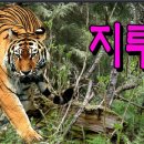 통합리듬댄스 이미지