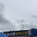 우리 농산물 식자재 마트 | 강릉 농산물 새벽시장 방문 후기
