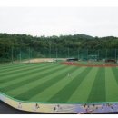 배나물야구장 이미지