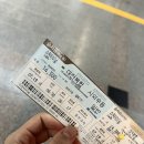 허유정미용실 | [대전광역시] 돼지들이랑 대전 성심당 당일치기