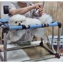 온 동물의료센터 이미지