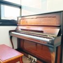 다온음악학원 이미지