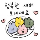 써니펫살롱 이미지