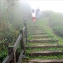 명산축산 Daum카페