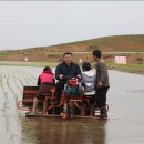 만지원농장 이미지