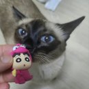 이디야커피여주 이미지