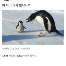 ﻿텃세 이미지