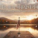심수봉 오마주 신곡 - 지는 꽃이 아름답다기에 Because they say falling flowers are beautiful 이미지