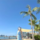 푸른마트 4층 | 🇻🇳 베트남 나트랑 숙소︱5성급 ‘보마리조트’ 베이 뷰 후기