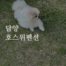 담양 밀크펜션 | 광주근교 전남 담양 애견 반려견 동반 독채 펜션 호스위