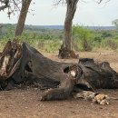 CW-1457-01 이미지