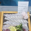맛집 유성맛집 보물섬수산에서 즐긴 푸짐한 회 한상과...추천 구암동맛집 방문 후기와 만족스러웠던...