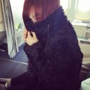 티파니펫 이미지