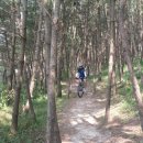 꽃다리슈퍼 이미지