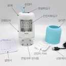 하단포비 이미지