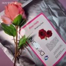 하수구 닥터(Dr) 네이버블로그