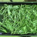 청와삼대 이미지