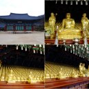 순천-13호 Daum카페