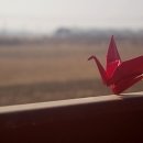 (유)산야 이미지