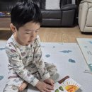 에릭칼 | 노부영 에릭칼 보드북 7종 세트 후기｜돌부터 4세까지 본 영어책 (CD 포함)