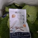 장씨농장 이미지