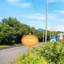 농업회사법인 자채방아마을 | 제주 이색체험 서귀포 가볼만한곳 시트러스 양조장 혼디주 미상25 시음 후기