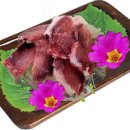 참치어화 Daum카페