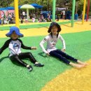 안청무궁화공원 이미지