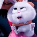 스노우볼 Daum카페