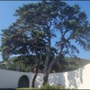 박태준기념관 이미지