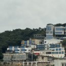 미스터와이 풀빌라 | 인천 영흥도 펜션 미스터와이 풀빌라 애견펜션 201호 내돈내산