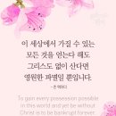 영원 이미지