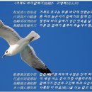 갈매기 글로 사례하다 ‘사백구문(謝白鷗文)’, 갈매기와의 맹세와 기심(機心) 이미지