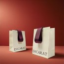 디캐럿의원 이미지