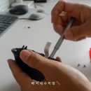 엠엑스프로