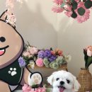 카페글램 이미지
