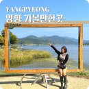 양수리전통시장(양평양수리시장) | 양평 아이와 가볼만한곳 양평두물머리 연핫도그 양수리전통시장 주차