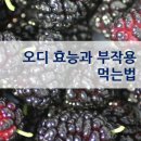 오디( mulberry)의 효능과 작용 이미지