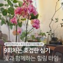 용산행복장애인자립생활센터 | 복지관 &amp; 기관 출강 프로그램 - 9회차 호접란 심기 후기 (블루밍앤브러쉬 x 부산진장애인자립생활센터)