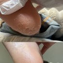 원스프롬X글라리안