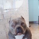 우소농장 이미지