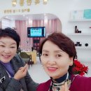 코스모스 인셀덤